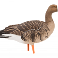 Картинка Чучела белолобого гуся от интернет-магазина ХантингАрт Чучела белолобого гуся купить в интернет-магазине ХантингАрт