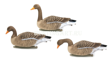 Плавающие чучела Серого гуся Floater Greylag Goose (мягкий пластик), 6 шт в трех позах купить в интернет-магазине ХантингАрт